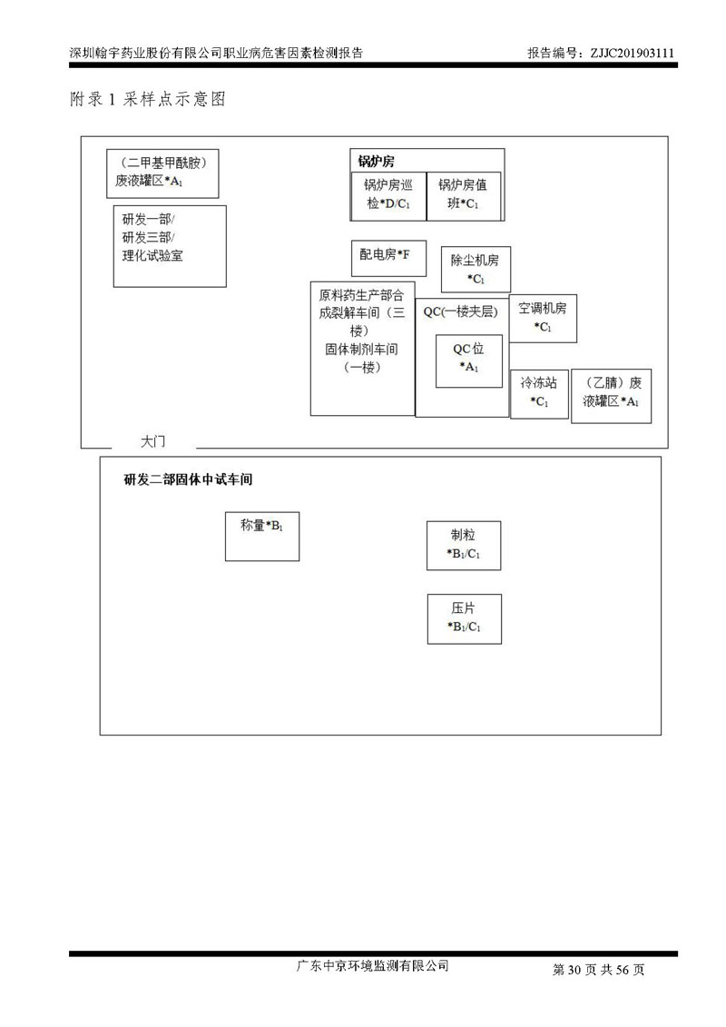 _深圳BJL百家AG老哥论坛药业股份有限公司南山定期检测报告_页面_30