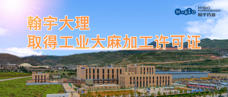 云南分公司工业大麻生产许可封面(1)